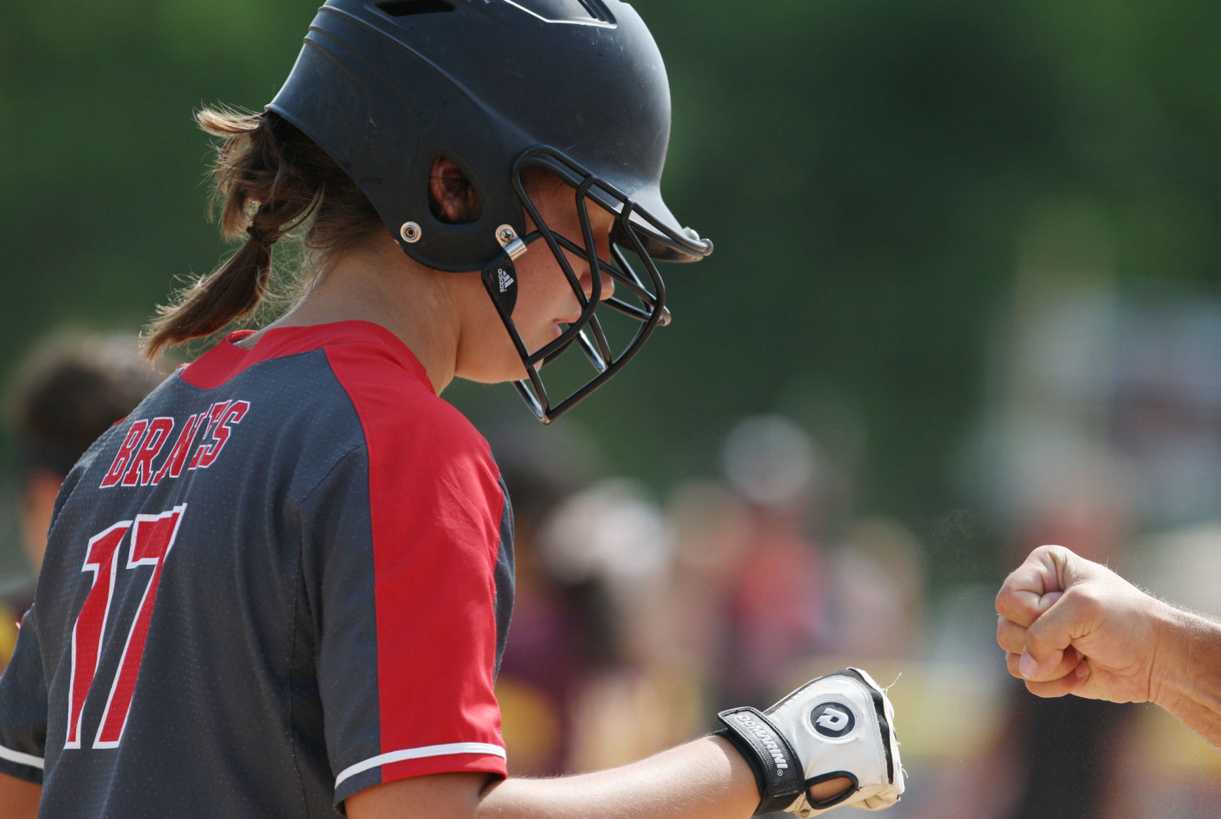 Mount Zion vs Lombard Montini softball 11 6.8.18.jpg